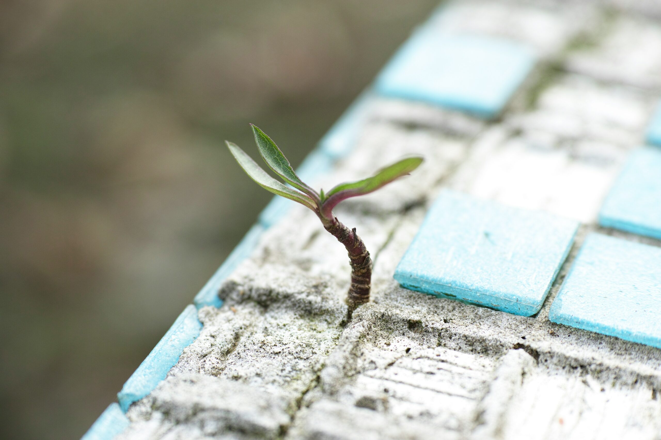 Building Resilience: STEM Education for a Changing Climate