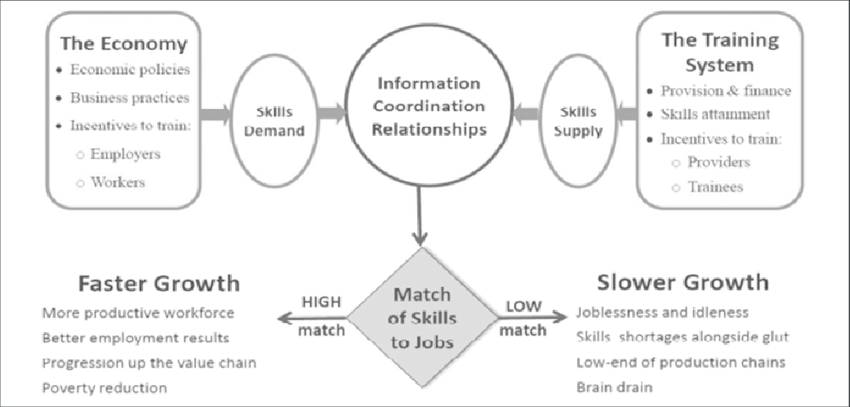 Diagram showing alignment between education systems, skills development, and workforce outcomes